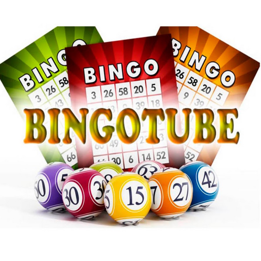 Bingo Tube YouTube channel avatar