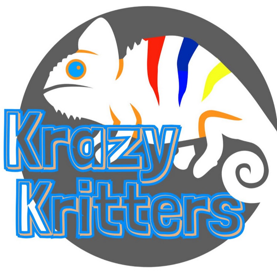 Krazy Kids YouTube 频道头像