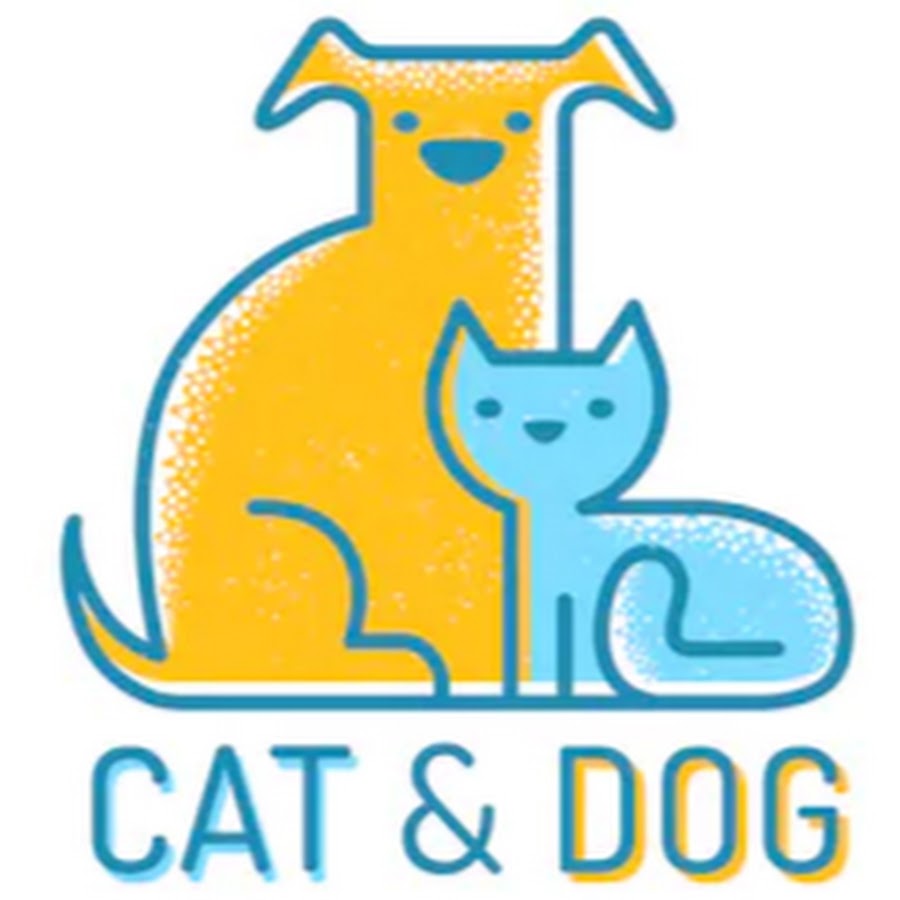 Cat Dog Avatar canale YouTube 