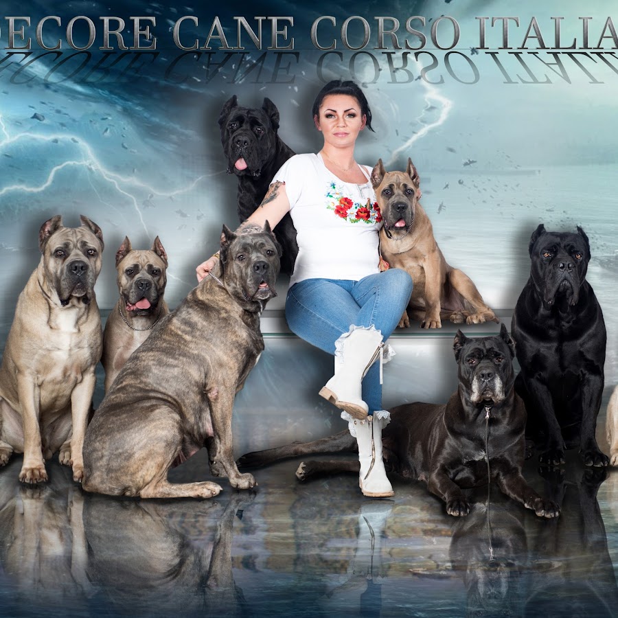 Fide Core Cane Corso YouTube channel avatar