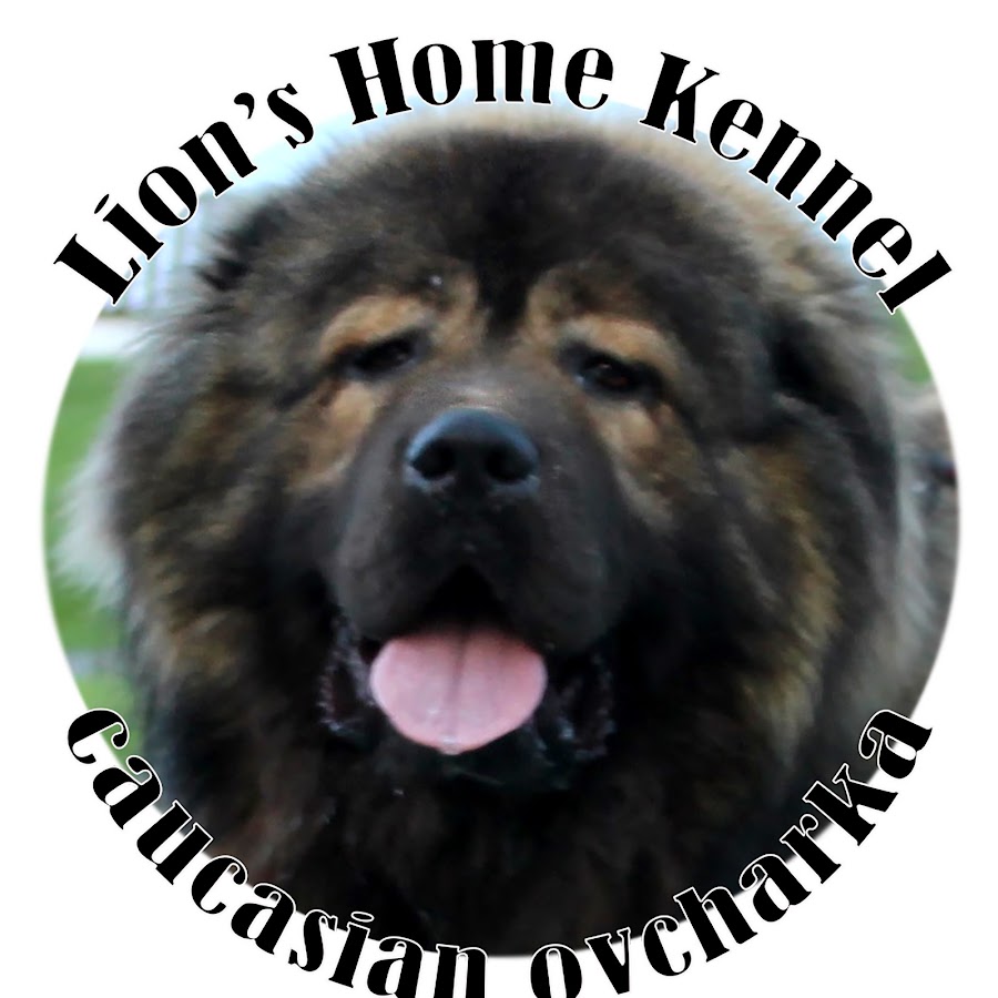 Lion's Home Kennel