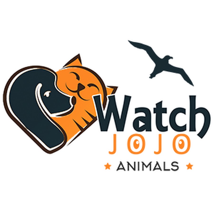 watchjojo animals यूट्यूब चैनल अवतार