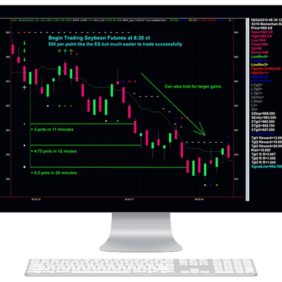 NetPicks Trading Аватар канала YouTube