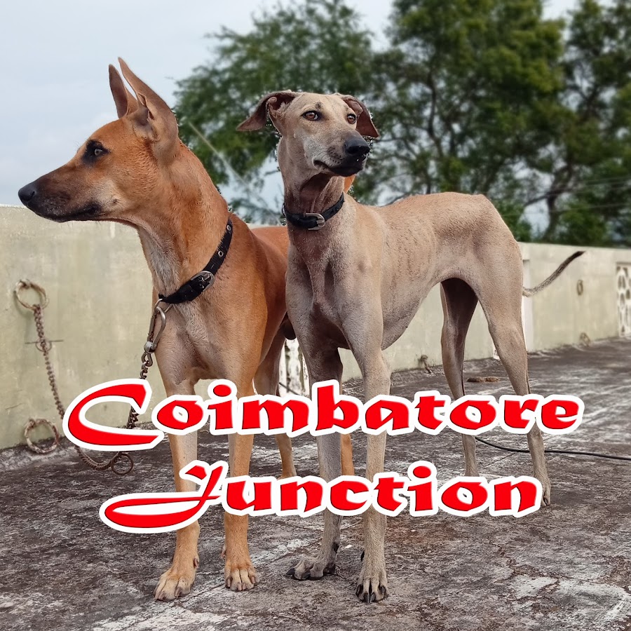 Coimbatore Junction YouTube channel avatar