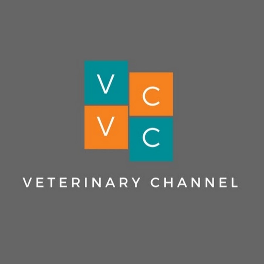 Veterinary Channel YouTube channel avatar