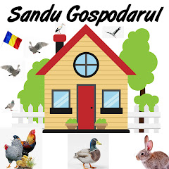 Thumbnail of related channel