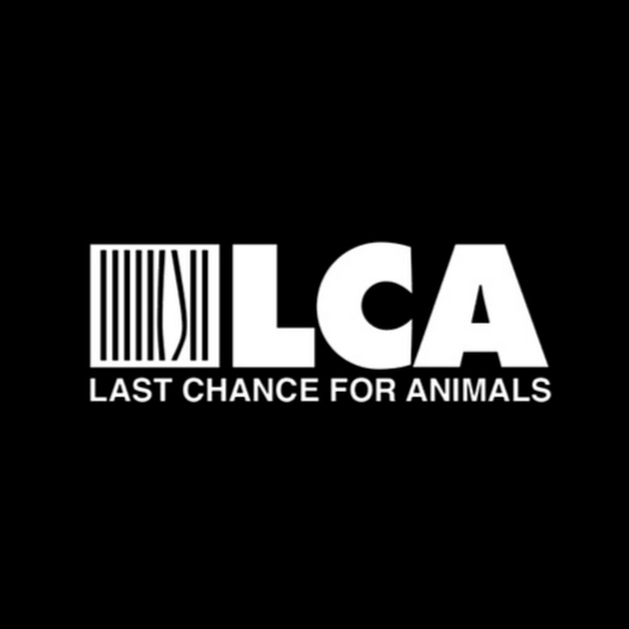 Last Chance for Animals YouTube channel avatar