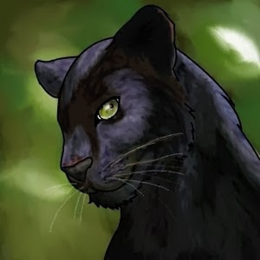 Der Blackpuma YouTube channel avatar
