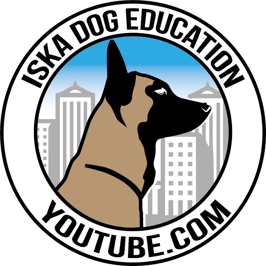 Iska Malinois Avatar canale YouTube 