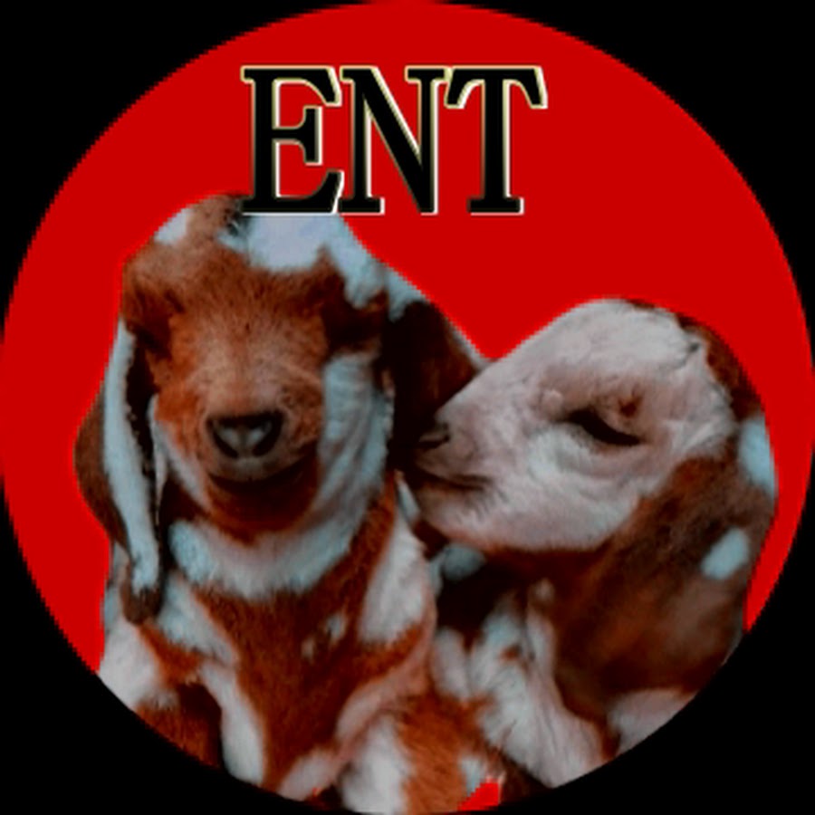 GoatView ENT YouTube kanalı avatarı