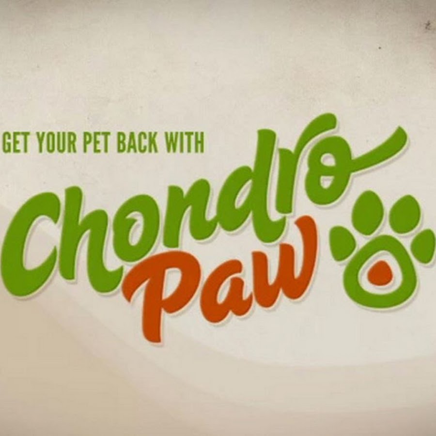 Chondro Paw YouTube channel avatar
