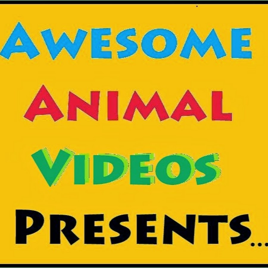 Funniest Animal Videos YouTube channel avatar