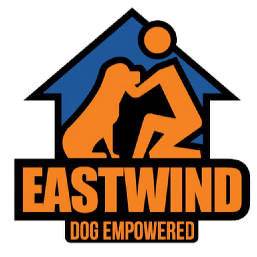 Eastwind YouTube channel avatar