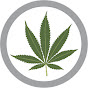 Marijuana Politics YouTube Profile Photo