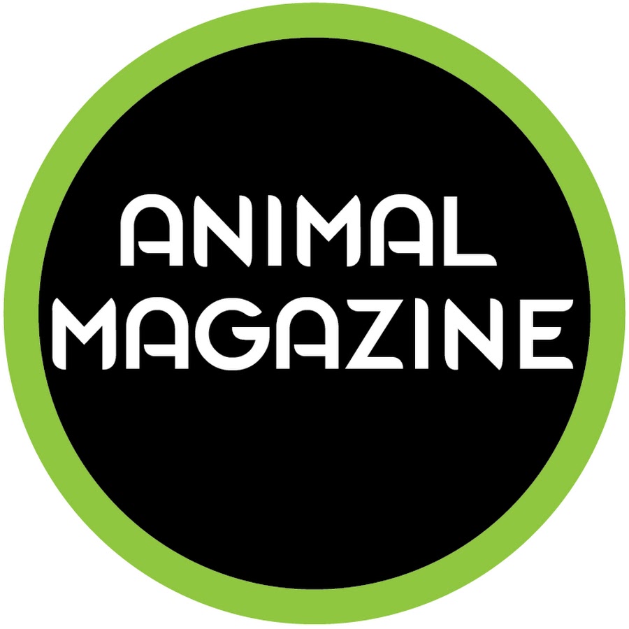 Animal Magazine YouTube kanalı avatarı