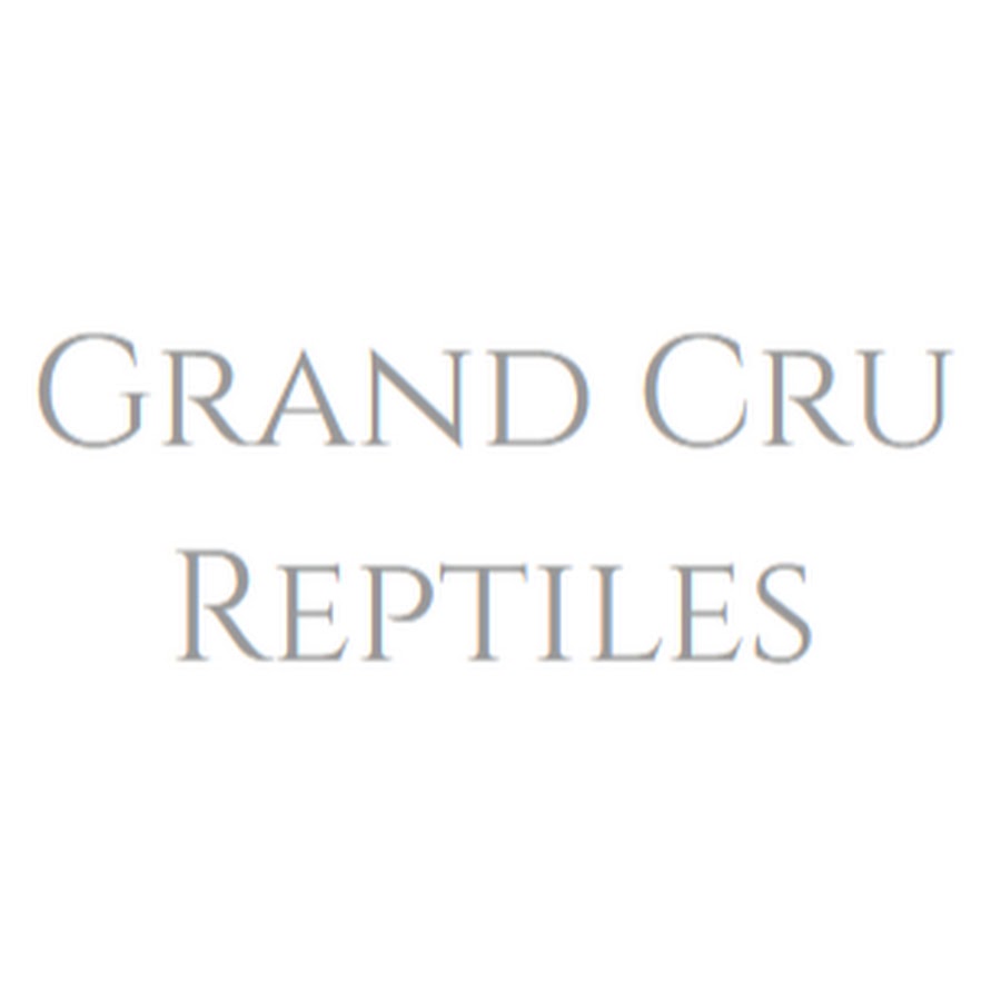 Grand Kru YouTube channel avatar