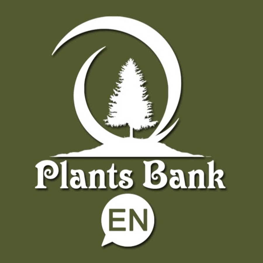 Plants Bank YouTube-Kanal-Avatar