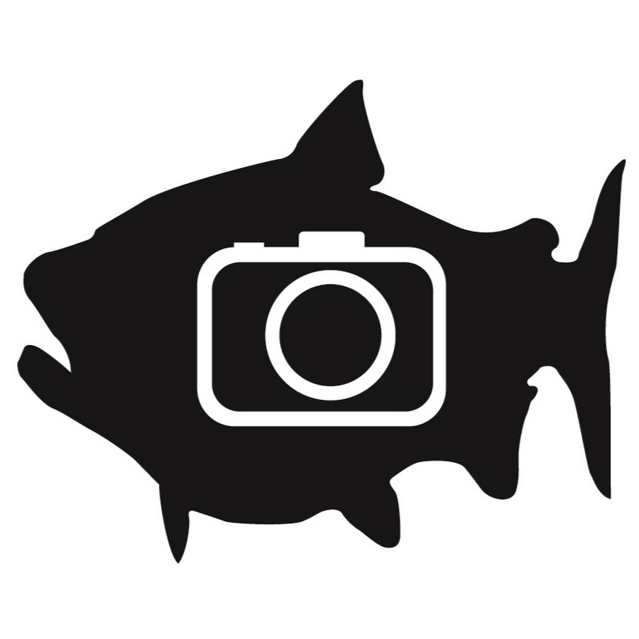 BFSC Fishing رمز قناة اليوتيوب