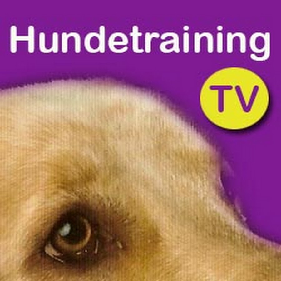 Hundetraining TV YouTube 频道头像