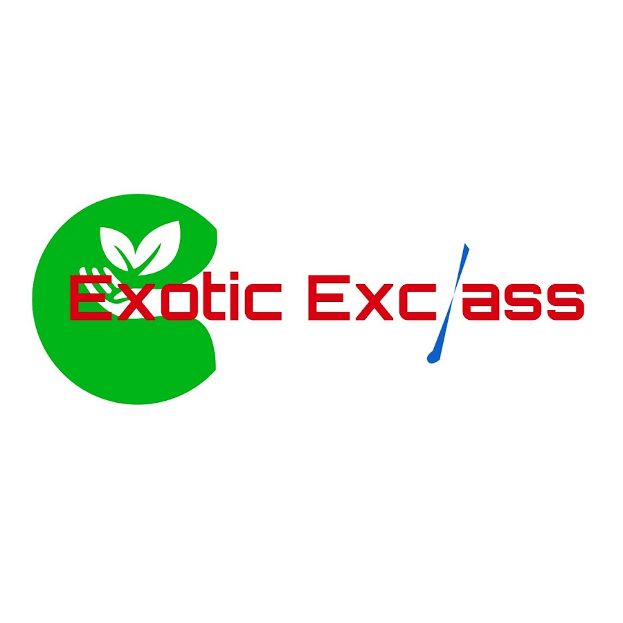 Exotic Exclass YouTube 频道头像