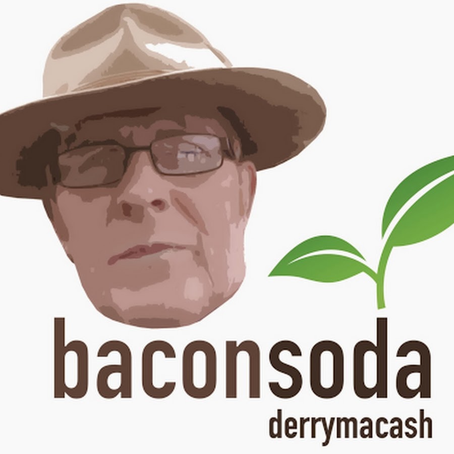 baconsoda YouTube channel avatar