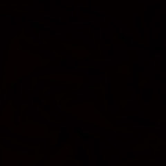 żak żak