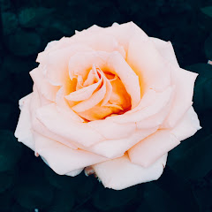 Thumbnail of related channel