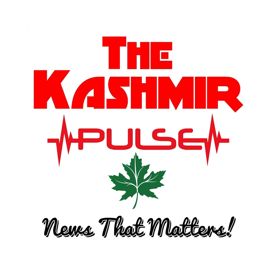 The Kashmir Pulse YouTube-Kanal-Avatar