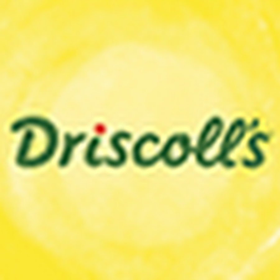 Driscollâ€™s رمز قناة اليوتيوب