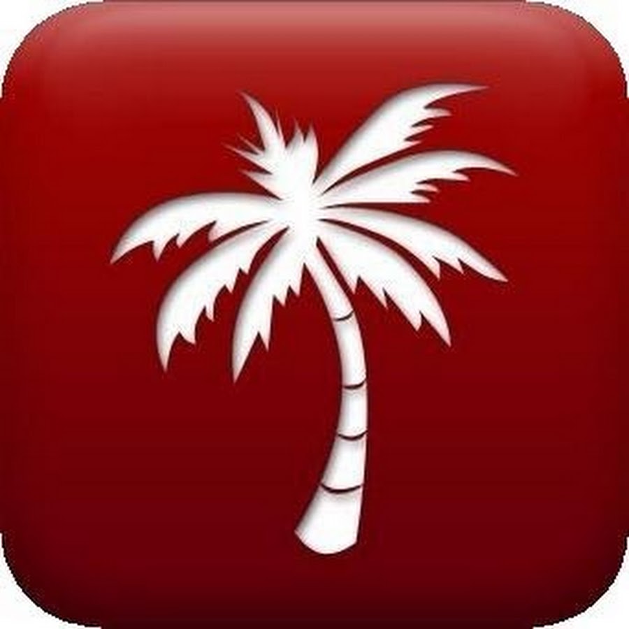 Palmtree Media YouTube channel avatar