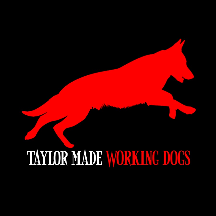 Taylor Made Working Dogs YouTube channel avatar