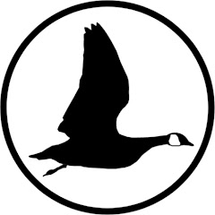 Thumbnail of related channel