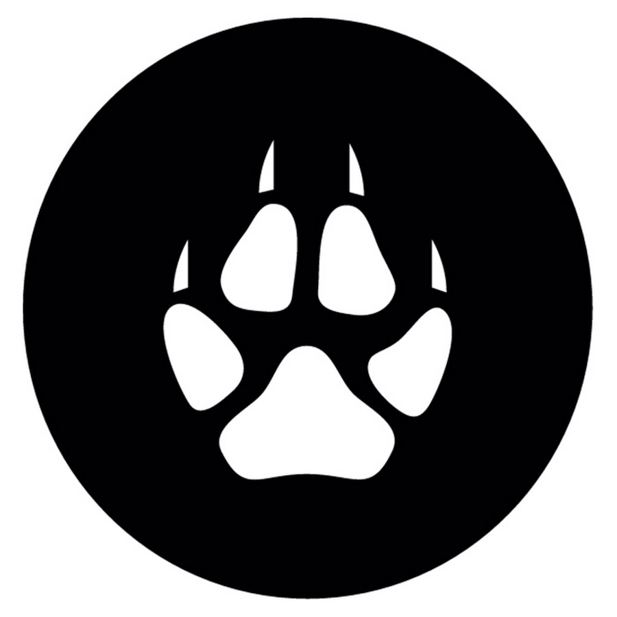 Viral Wolf YouTube channel avatar