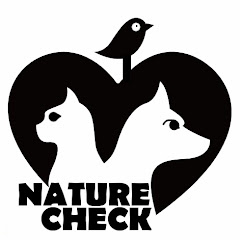 Thumbnail of related channel