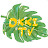 OkkiTV [돈나무엄마 money tree’s mom]