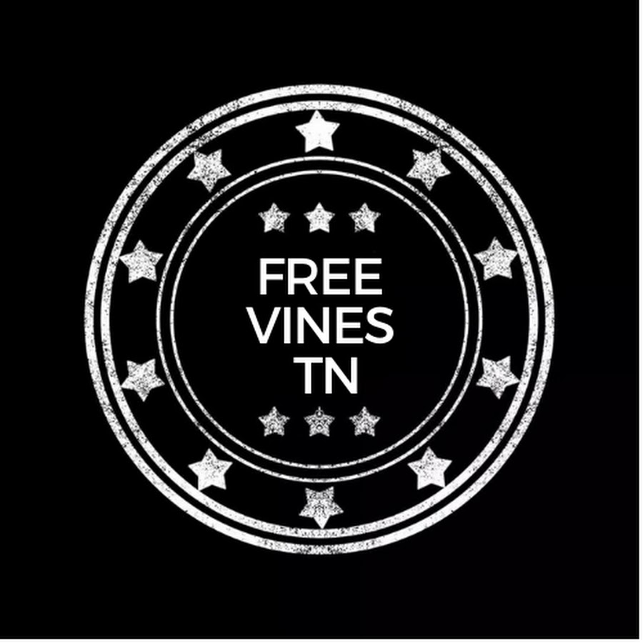 Free Vines TN Avatar canale YouTube 