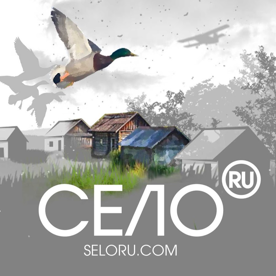 Seloru. com رمز قناة اليوتيوب