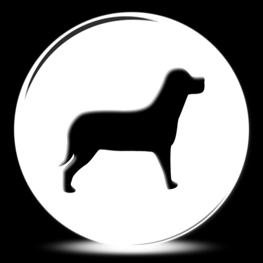 Dogs hub رمز قناة اليوتيوب