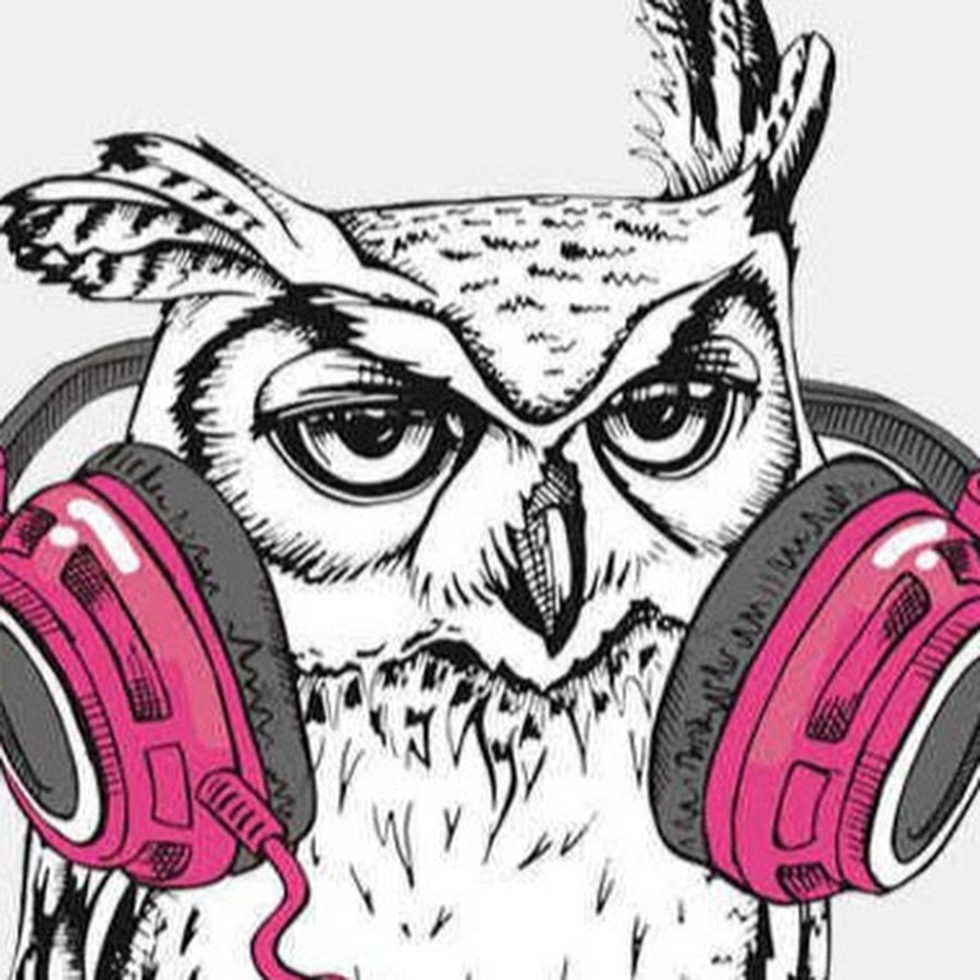 Совы охотятся ночью горовиц. Совы охотятся ночью книга. Аудиокнига филин. Hypnosis book. Creative nonfiction in literature.