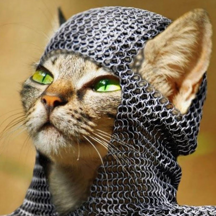 El Gato Historiador. Cus Channel Avatar de canal de YouTube