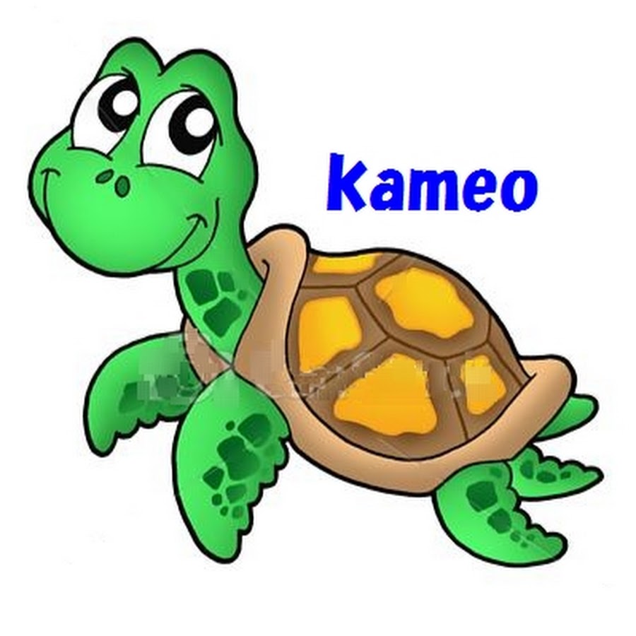 kameo46 YouTube channel avatar