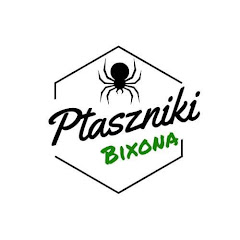 Amator Ptaszników Bixon