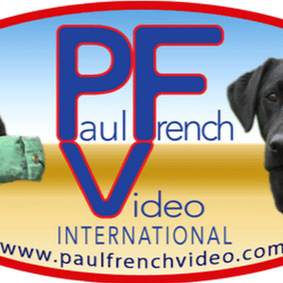 Paul French Video International YouTube channel avatar