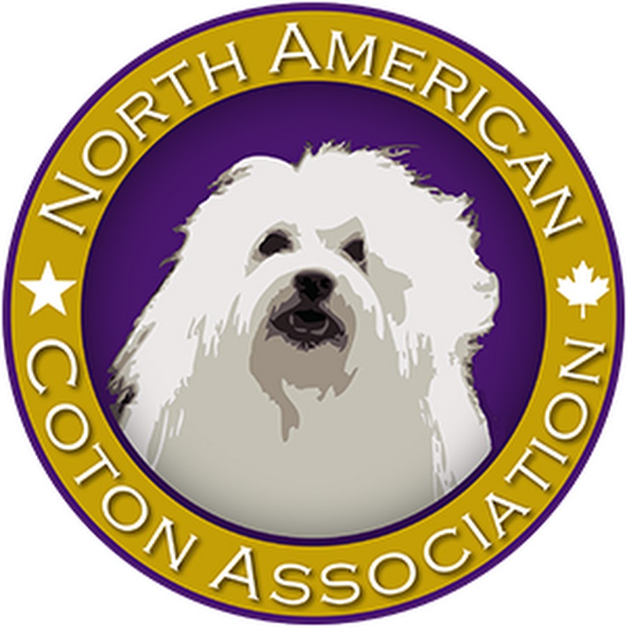 North American Coton de Tulear Association Avatar de canal de YouTube