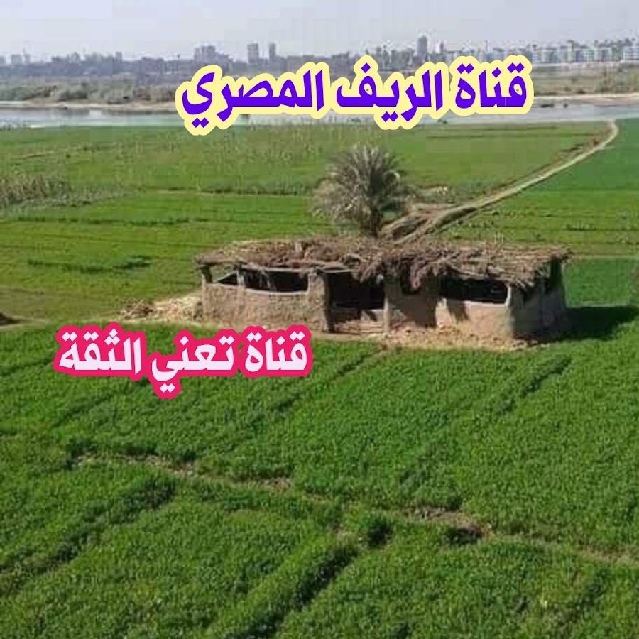 Ø§Ù„Ø±ÙŠÙ Ø§Ù„Ù…ØµØ±ÙŠ رمز قناة اليوتيوب