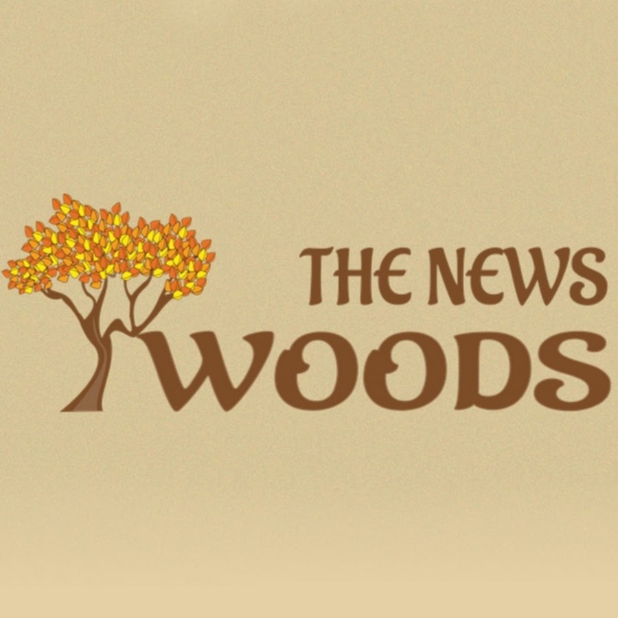 The News Woods YouTube channel avatar