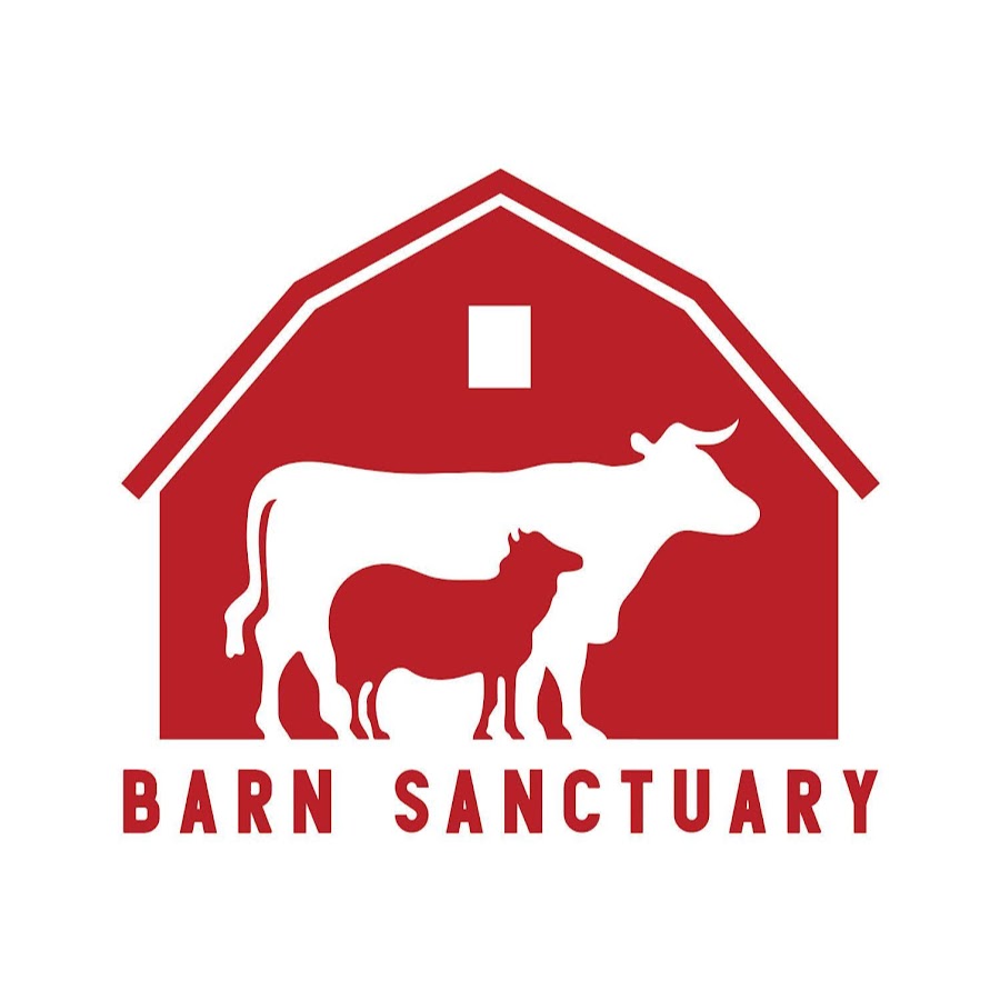 Barn Sanctuary YouTube 频道头像