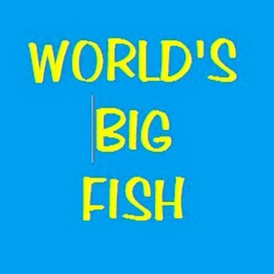 Big Fish of the World YouTube channel avatar