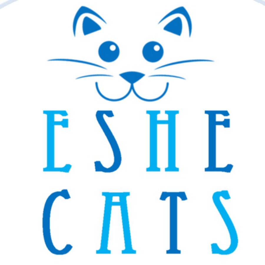 Eshe Cats رمز قناة اليوتيوب