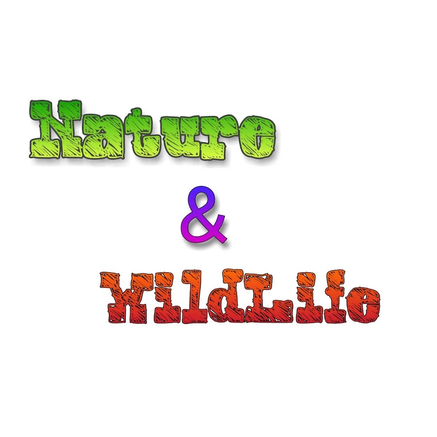 Nature and WildLife Avatar de chaîne YouTube
